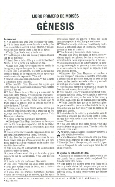 „Santa Biblia, Edicion Misionera“ - Bibel, Spanisch